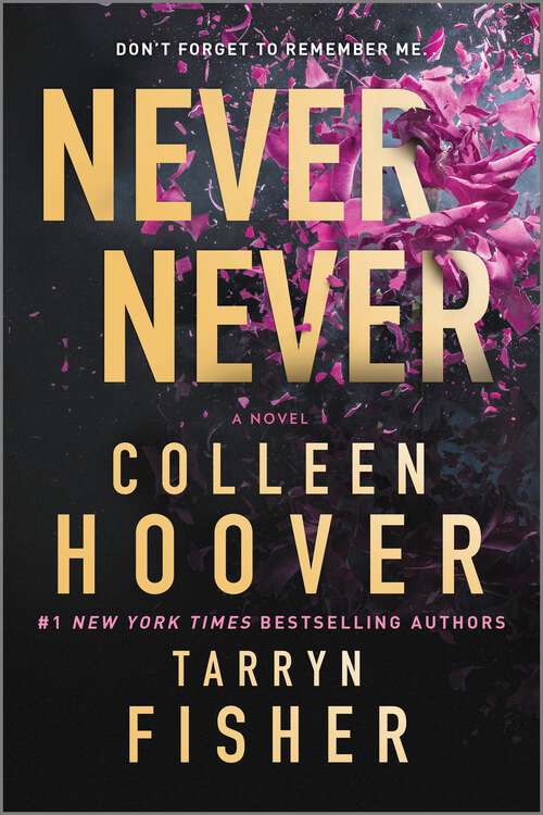 Book cover of Never Never: A Romantic Suspense Novel of Love and Fate (Original)