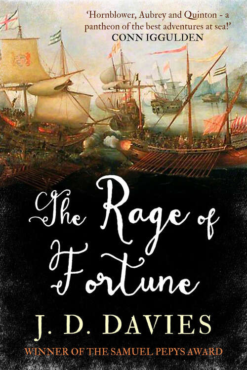 Book cover of The Rage of Fortune (The Matthew Quinton Journals)