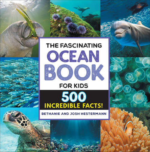 Book cover of The Fascinating Ocean Book for Kids: 500 Incredible Facts! (Fascinating Facts)