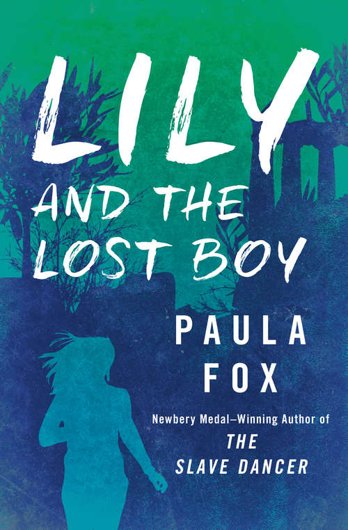 Book cover of Lily and the Lost Boy (Digital Original)
