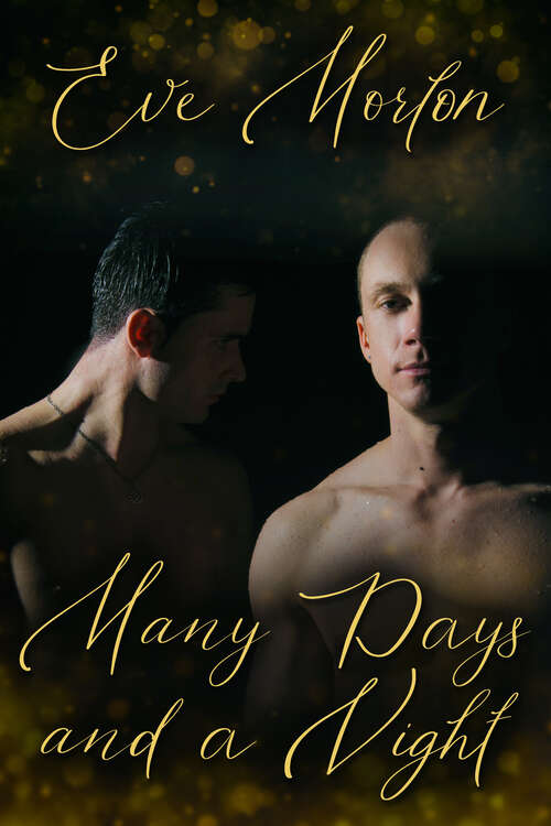 Book cover of Many Days and a Night