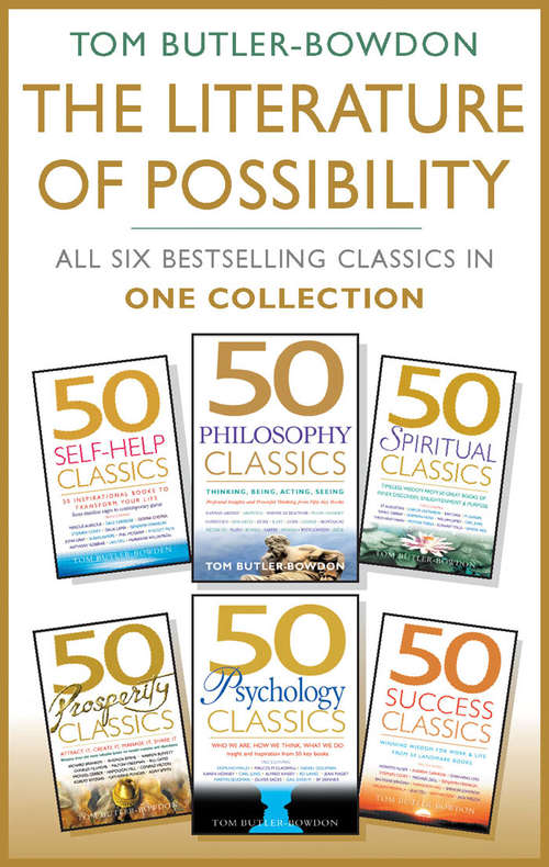 Book cover of The Literature of Possibility