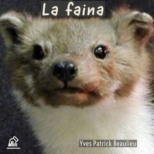 Book cover of La faina: Abitibi