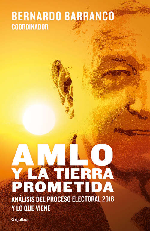 Book cover of AMLO y la tierra prometida: Análisis del proceso electoral 2018 y lo que viene