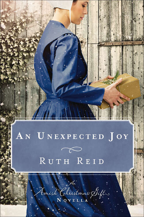 Book cover of An Unexpected Joy: An Amish Christmas Gift Novella (Amish Christmas Gift Novellas)