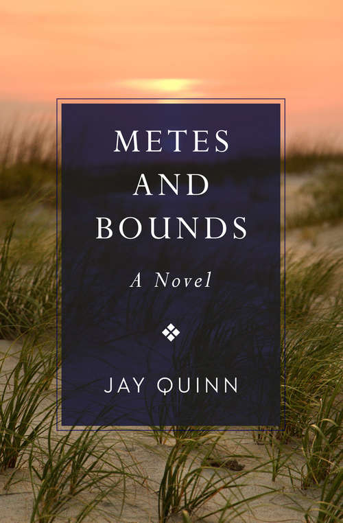 Book cover of Metes and Bounds: A Novel (Southern Tier Ser.)