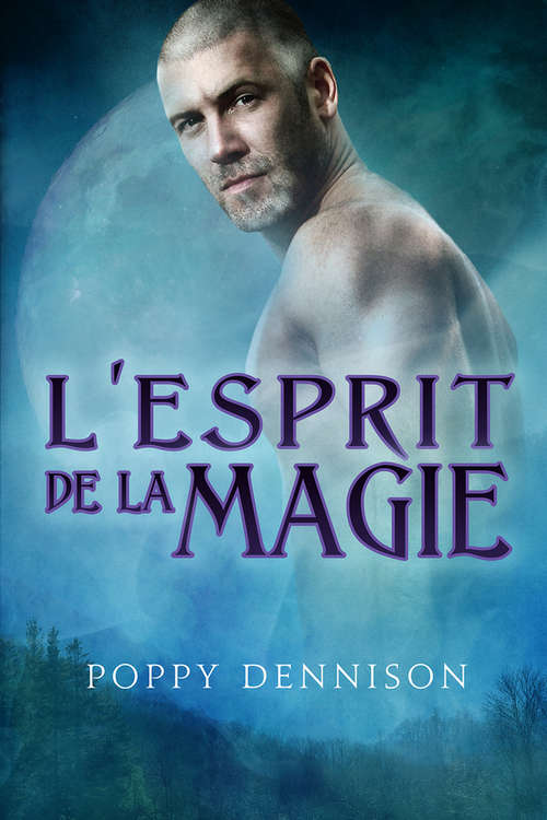 Book cover of L’esprit de la magie (Les Triades #1)