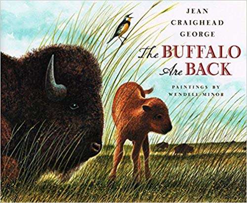 Book cover of The Buffalo are Back