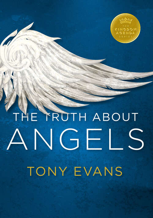 Book cover of The Truth About Angels (Kingdom Agenda Ser.)