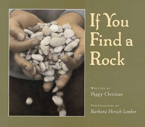 Book cover of If You Find a Rock