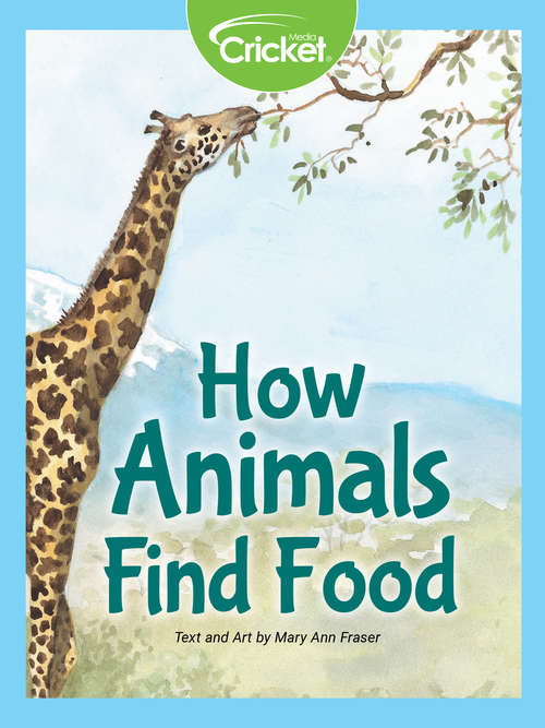 Book cover of How Animals Find Food