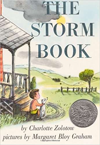Book cover of The Storm Book