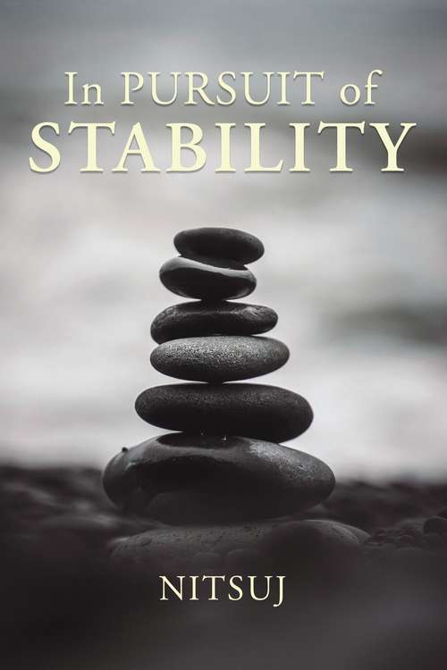 Book cover of In Pursuit of Stability