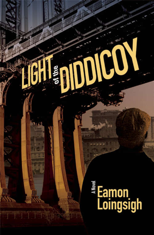 Book cover of Light of the Diddicoy