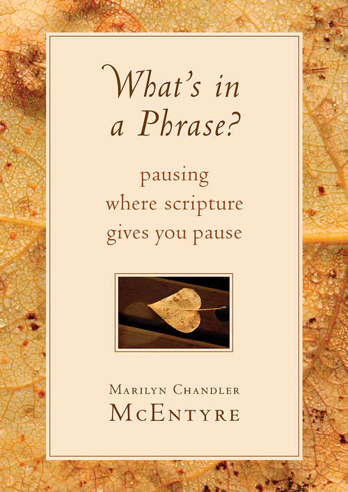 Book cover of What's in a Phrase?: Pausing Where Scripture Gives You Pause