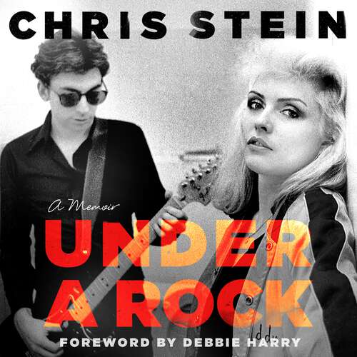 Book cover of Under A Rock
