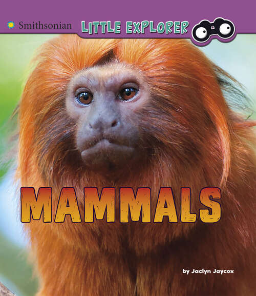 Book cover of Mammals: A 4d Book (Little Zoologist Ser.)