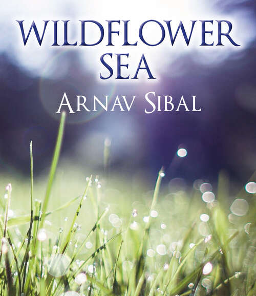 Book cover of Wildflower Sea