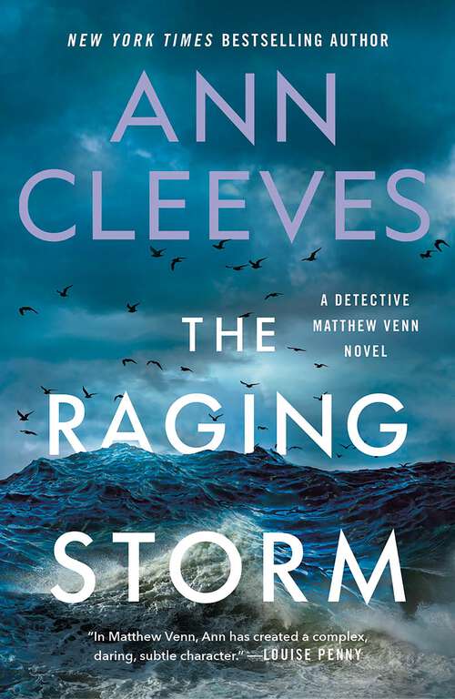 Book cover of The Raging Storm: A Detective Matthew Venn Novel (Matthew Venn series #3)