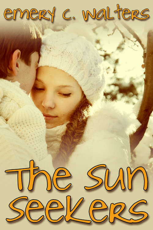 Book cover of The Sun Seekers