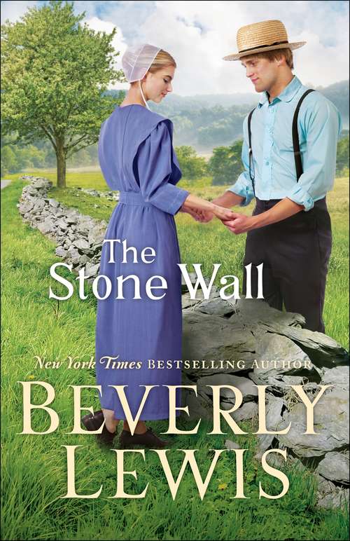 Book cover of The Stone Wall