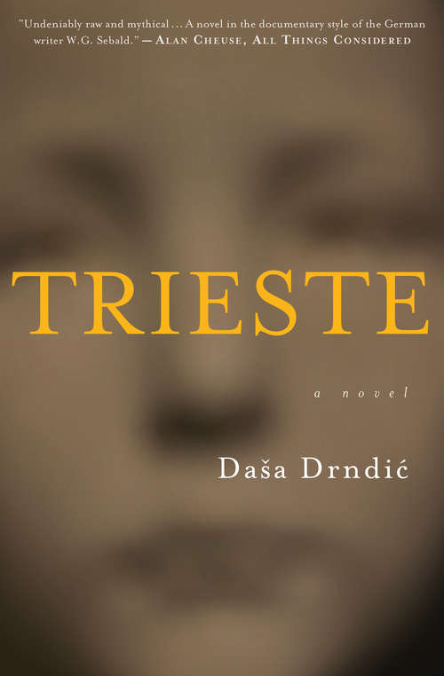 Book cover of Trieste: A Novel