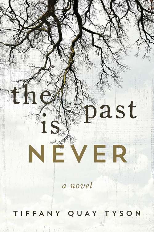 Book cover of The Past Is Never: A Novel