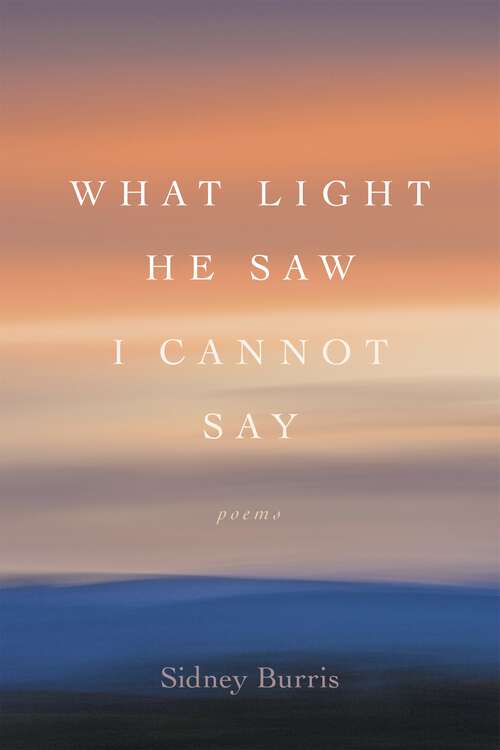 Book cover of What Light He Saw I Cannot Say: Poems (Southern Messenger Poets)