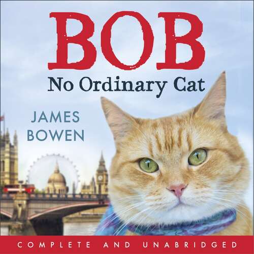 Book cover of Bob: No Ordinary Cat