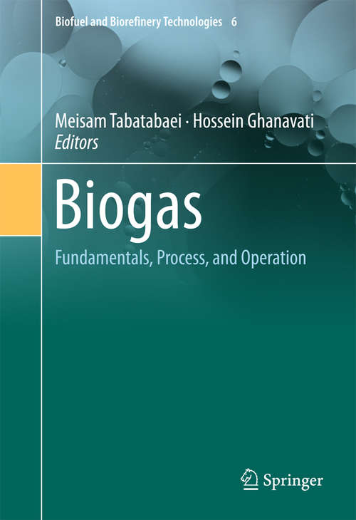 Book cover of Biogas: Fundamentals, Process, And Operation (Biofuel and Biorefinery Technologies #6)