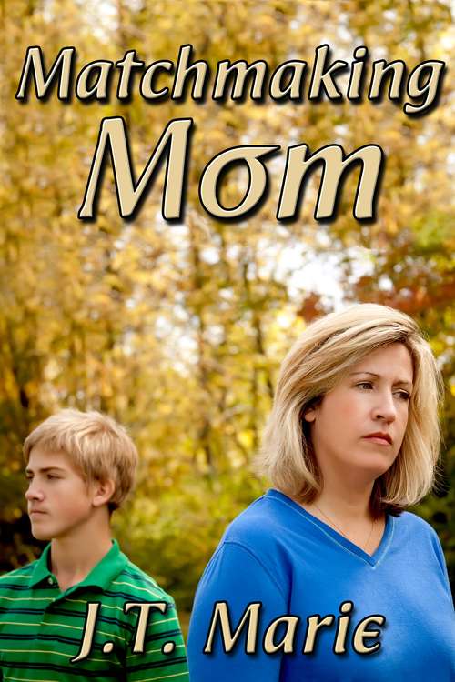 Book cover of Matchmaking Mom