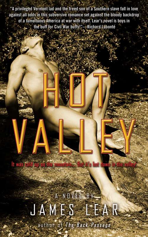 Book cover of Hot Valley: A Novel
