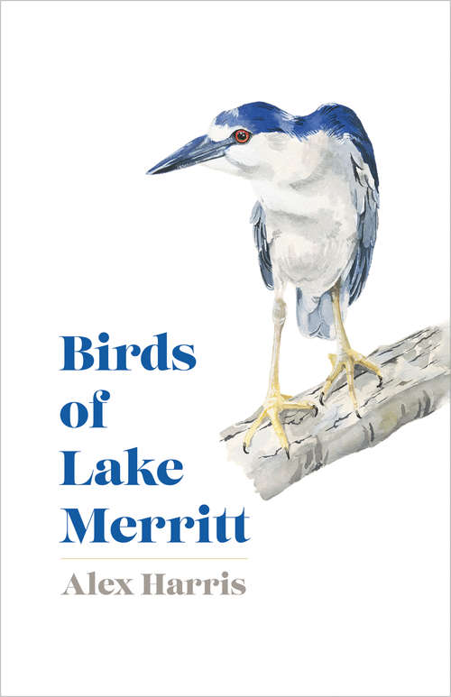 Book cover of Birds of Lake Merritt