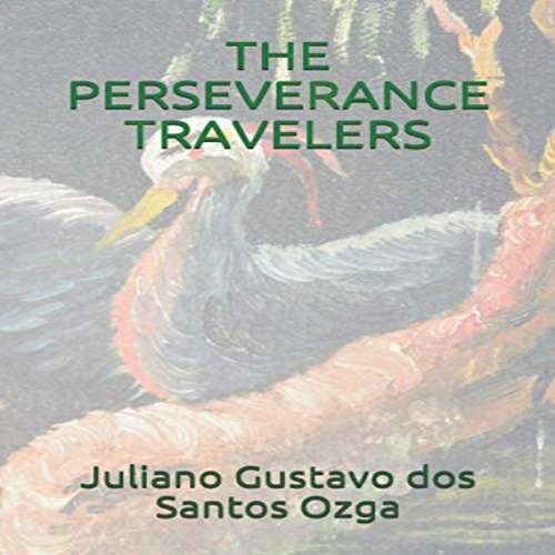 Book cover of The Perseverance Travelers