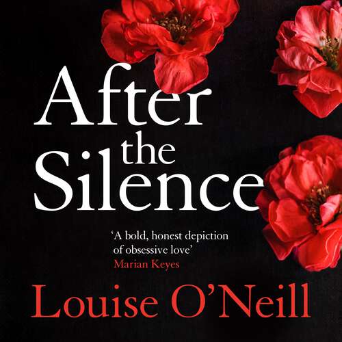 Book cover of After the Silence: The An Post Irish Crime Novel of the Year