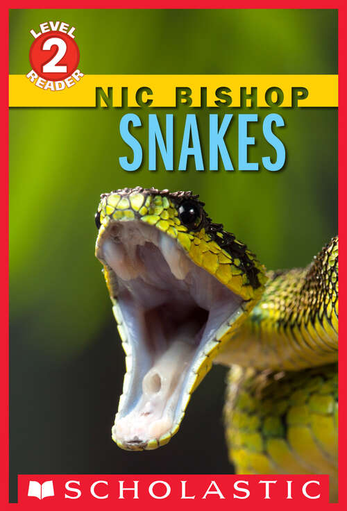Book cover of Snakes (Scholastic Reader, Level 2)