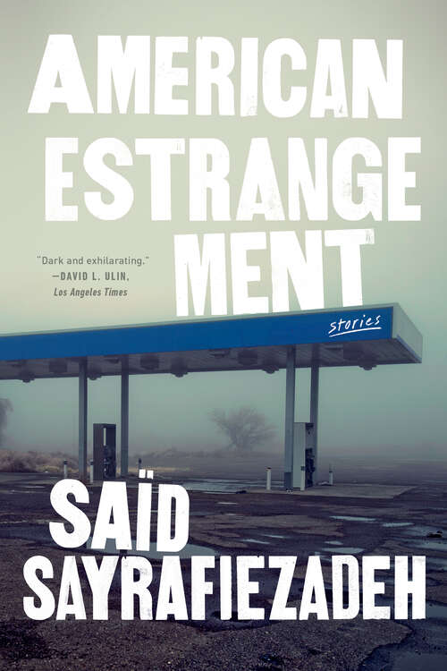 Book cover of American Estrangement: Stories