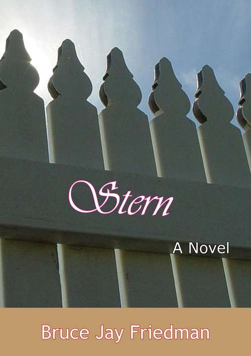 Book cover of Stern: A Novel