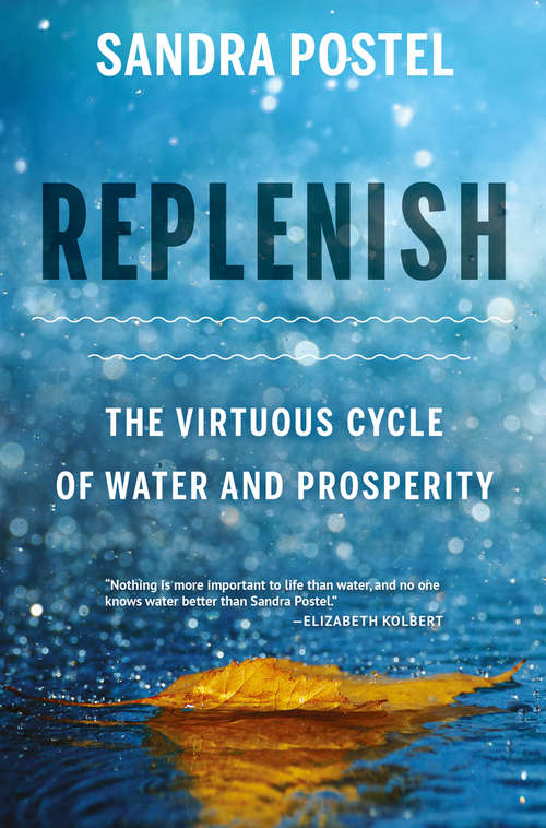 Book cover of Replenish