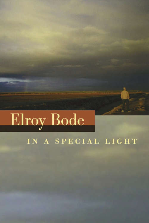 Book cover of In a Special Light