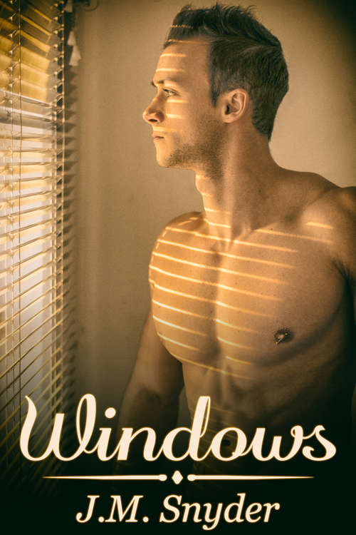 Book cover of Windows