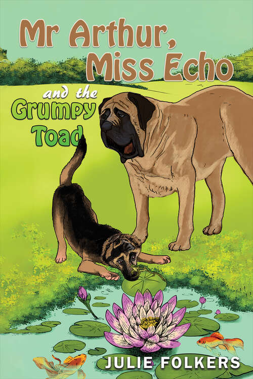 Book cover of Mr Arthur, Miss Echo and the Grumpy Toad