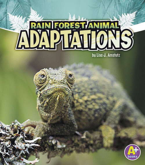 Book cover of Rain Forest Animal Adaptations (Amazing Animal Adaptations Ser.)