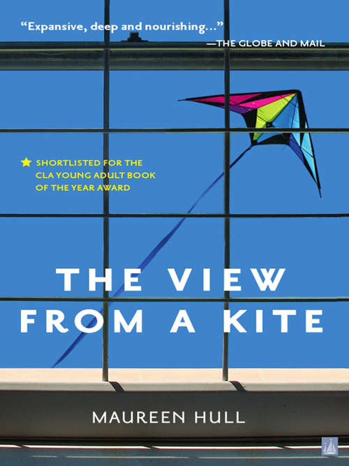 Book cover of The View From a Kite