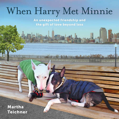 Book cover of When Harry Met Minnie: An unexpected friendship and the gift of love beyond loss