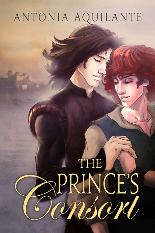 Book cover of The Prince's Consort (Chronicles of Tournai #1)