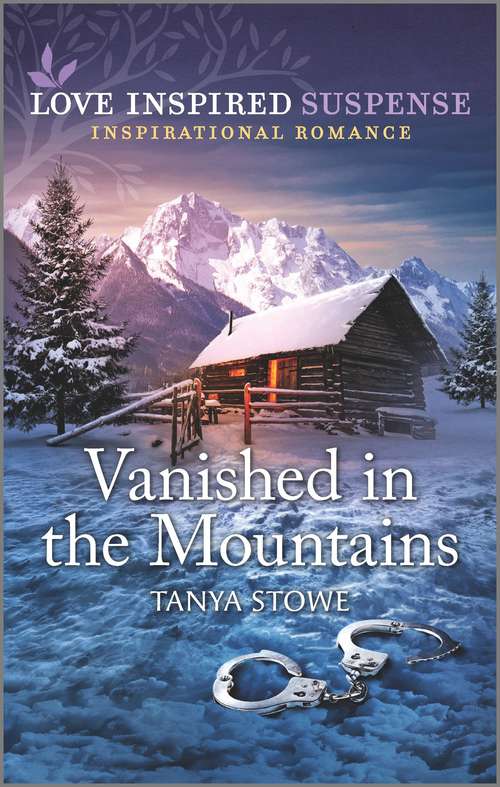 Book cover of Vanished in the Mountains (Original)