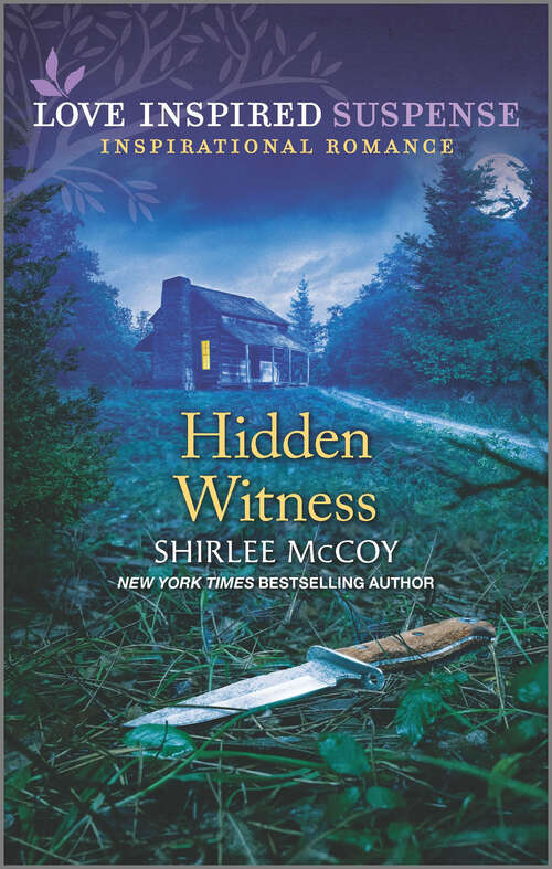 Book cover of Hidden Witness (Original)