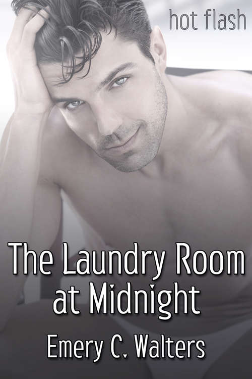 Book cover of The Laundry Room at Midnight