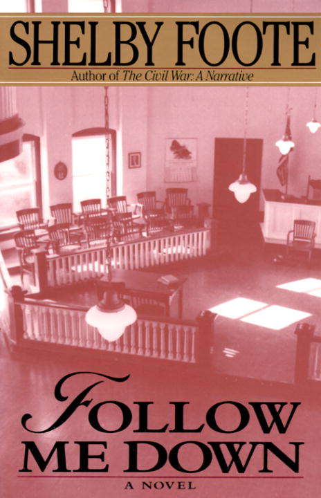 Book cover of Follow Me Down: A Novel